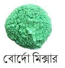 বোর্দো মিক্সার তৈরি